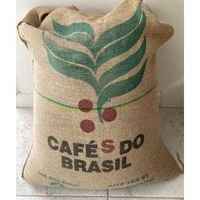 Dama Da Noite from Brazil
