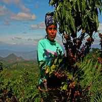No.1 El Salvador Single Origin Cuzcachapa