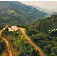 Colombia - Seleccion Planadas Organic