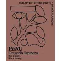 Peru, Gregorio Espinoza