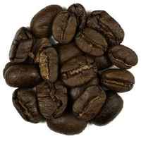 Guatemala Maragogype Dark Roast Coffee