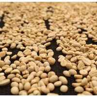 Uganda - Kaweri Plantation