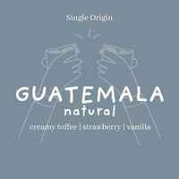 Guatemala | Blue Ayarza - Natural