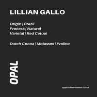 Lillian Gallo Brazil