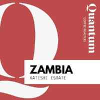 ZAMBIA - Kateshi Estate