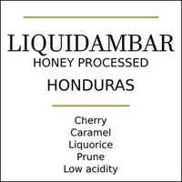 Honduras Finca Liquidambar Medium Roast