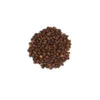 Indian Cherry Robusta