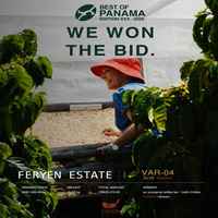 BOP 2026 Panama Feryen Estate SL28 Natural VAR-04 — 15g