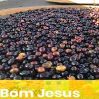 Brazil - Bom Jesus