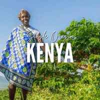 Kenya - Priory Farm AA