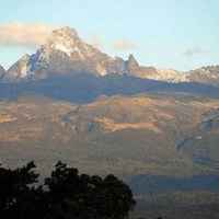 Kenya AA Blue Mountain