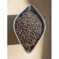 Old Brown Java