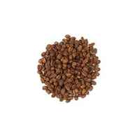Sumatra Lintong Coffee