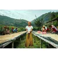 DR Congo - Kivu - Single Estate Coffee Beans | Washed Process