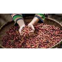 Colombia Planadas - Organic Grown