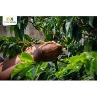Colombia Women's Project COAGROBRISAS