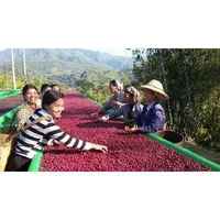 Myanmar Green Land Natural