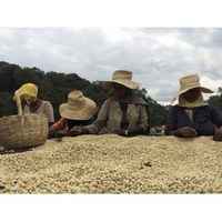 Ethiopia Limu Fully Washed