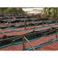Uganda Bududa Natural Process