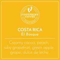 Costa Rica – El Bosque