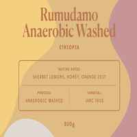 Rumudamo Anaerobic Washed - Ethiopia