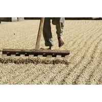 Guatemala Huehuetenango SHB EP FT