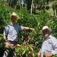 Guatemala Fredy Orantes Natural