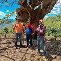 Los Luchadores