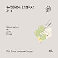 HACIENDA BARBARA • Lot 13 – Washed Geisha 100g