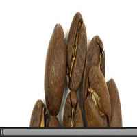 Hawaiian Kona Coffee