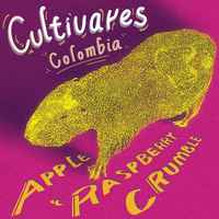 Cultivares - Caturra