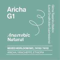 Ethiopia - Aricha