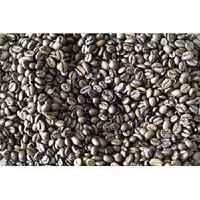 Rich Java Brown