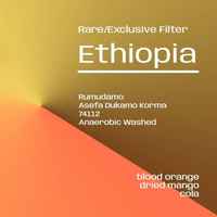 Ethiopia Rumudamo Anaerobic washed - Rare/Exclusive Filter