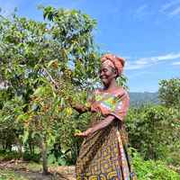 Uganda Mbata Natural