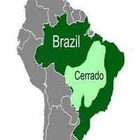 Brazil Classic 250g