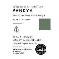 Pandya