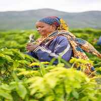 Zambia – Mount Sunzu