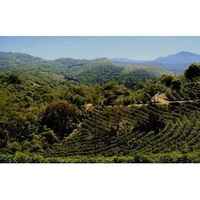 Finca La Llama