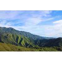 Colombia Finca Las Brisas Ombligon