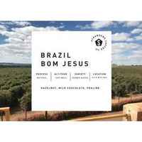 Brazil Fazenda Bom Jesus Natural