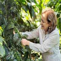 Nicaragua Finca Bethania Natural