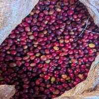 Ethiopia Bette Buna Cherry Bomb