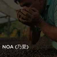 Hachi - Noa, Gesha