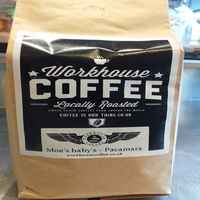 Pacamara - Bold,natural sweetness with hints of plum and berry