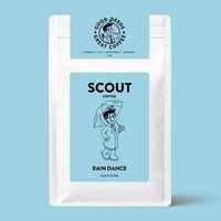 Rain Dance - Guest Filter | Honeydew Melon, Papaya, Vanilla