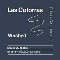 Mexico Las Cotorras Washed