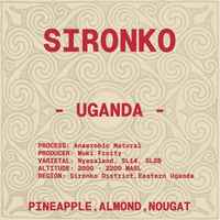 SIRONKO