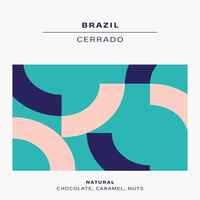 Brazil Cerrado