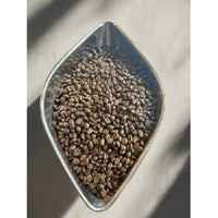 ETHIOPIA - Mocha Sidamo